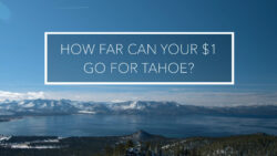 TF-Dollar for Tahoe_NEW_Still1
