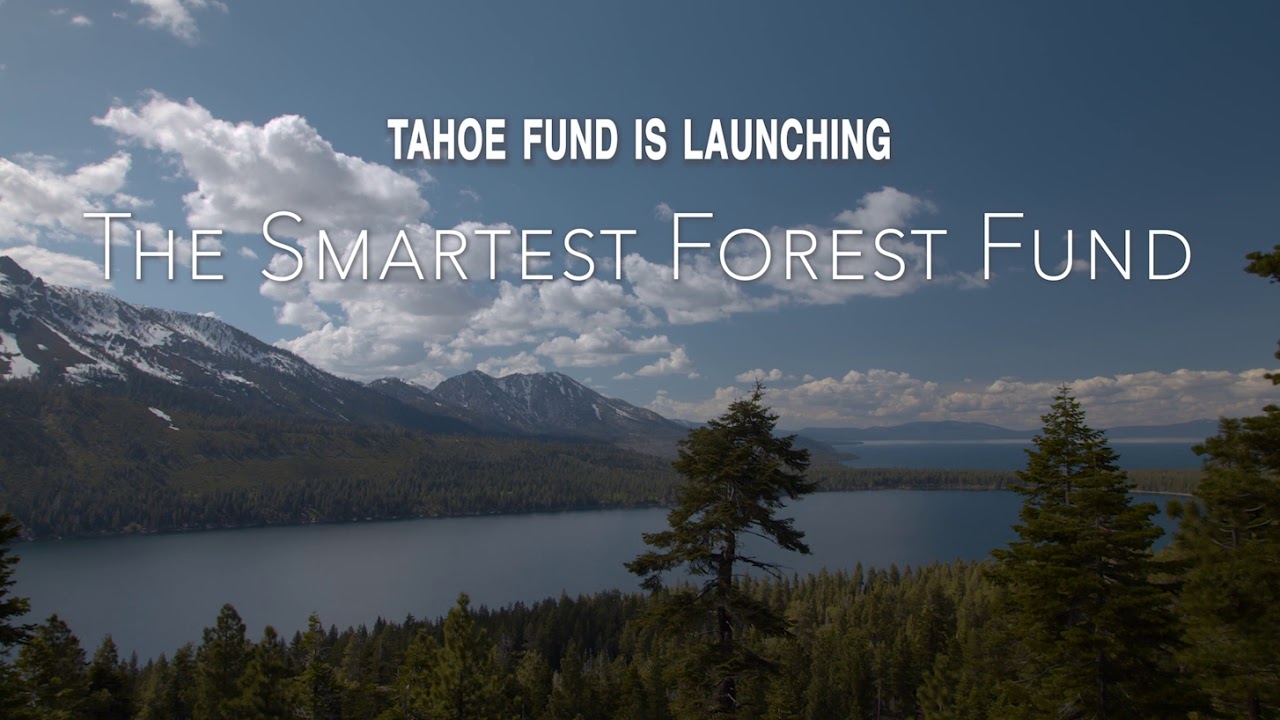 Tahoe Fund – Smartest Forest Fund